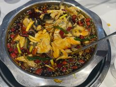 -乡土特色.冷锅鱼.牦牛肉火锅