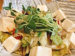 豆腐野菜沙拉-鮨鲸·和牛烧(三里屯店)