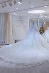 -台湾蔡美月婚纱租赁