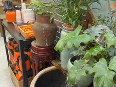 -秦君宝手擀菠菜面(金花路店)