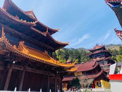 -东天目山风景区