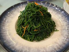 草原野地苦菜-蒙古大营·蒙古演绎餐厅(赛马场店)