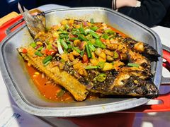-马邦子·紫苏烤鱼(恒隆广场店)