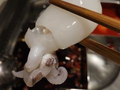 墨鱼仔-海底捞火锅(高科广场店)