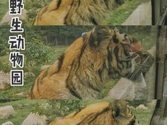 -西安秦岭野生动物园