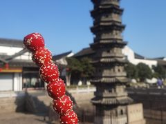 -南翔古镇