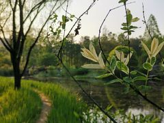 -杭州植物园