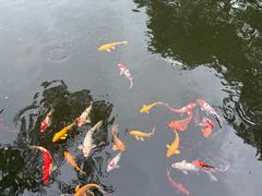 -杭州西湖柳莺里酒店·闻莺厅