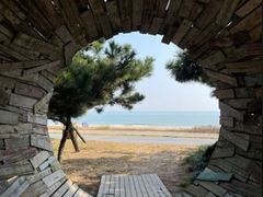 -渡海小渔村.老辈日照菜