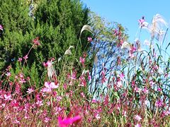 -汉长安城未央宫国家考古遗址公园