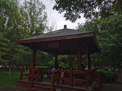 -大兴滨河森林公园