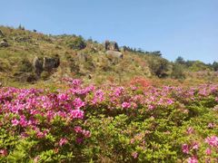 -玉苍山国家森林公园