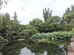-秋霞圃