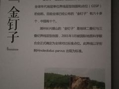 -湖州博物馆