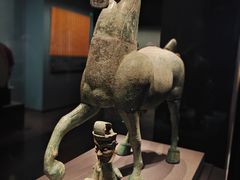 -广西壮族自治区博物馆