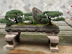 -胡雪岩故居