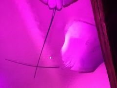 -哈尔滨波塞冬海底世界
