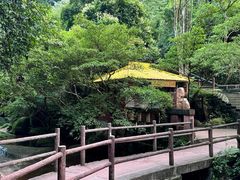 -赤水丹霞旅游区·佛光岩