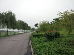 -洨河生态公园