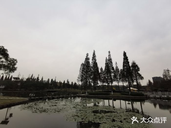 河泥荡文化公园图片