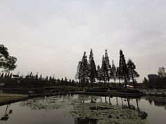 -河泥荡文化公园