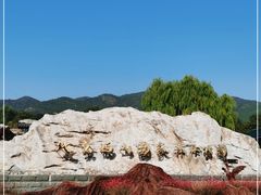 -北京西山国家森林公园