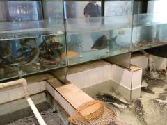 -小乡小镇·传承桐庐土菜·老板亲自烧的菜