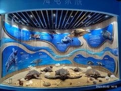 -广东惠东海龟国家级自然保护区