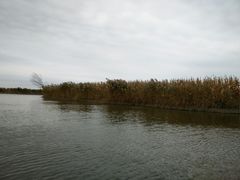 -红海滩国家风景廊道