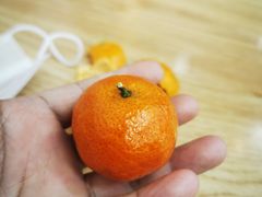 -叶氏兄弟果业(文二西路店)
