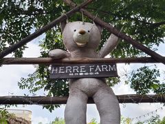 -HERRE·FARM 赫尔露营农场·团建聚会包场