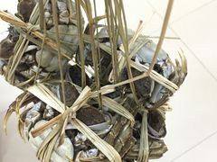 -芸海阁·农家私房菜(沙家浜景区出口店)