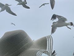 -海驴岛(荣成市)