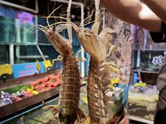 -辉记炭烧海鲜大排档·老字号(福田店)