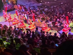 -广州长隆国际大马戏