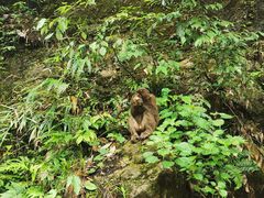 -西岭雪山大飞水景区