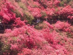 -木兰云雾山