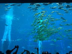 -亚龙湾海底世界