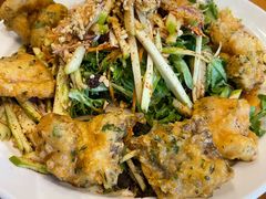 -Ohkajhu Organic Farm Sansai