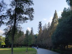 -成都南湖公园
