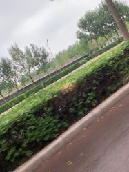 -HEYAN长风荷妍专业脱毛美肤
