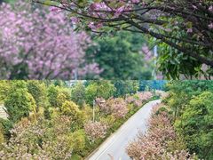 -南山植物园