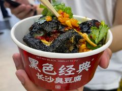 -黑色经典臭豆腐·湖南特产(坡子街店)