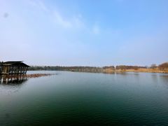 -溱湖国家湿地公园