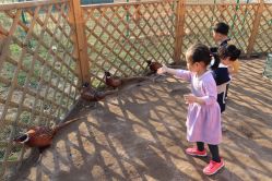 -萌宠亲子动物乐园(槐房万达店)