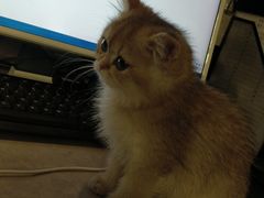 -儒之堂·足道养生SPA影院式(万融城店)
