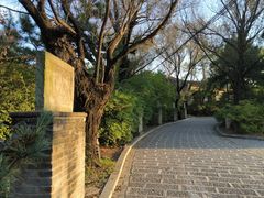 -爱新觉罗皇家博物院