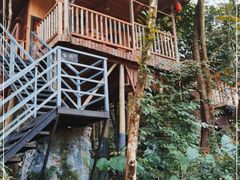 -天门沟九州驿站树上汤泉