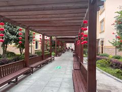 -上海仁瑞护理院·医养康复·临终关怀