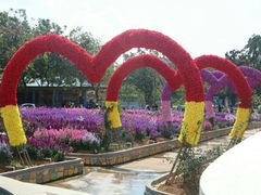 -松山湖梦幻百花洲